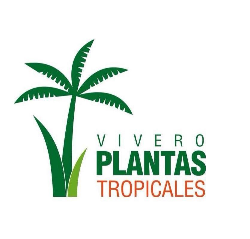 VIVERO PLANTAS TROPICALES