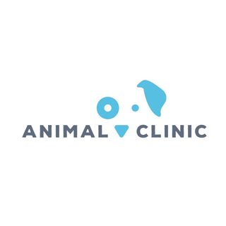 Animal Clinic Hospital Veterinario