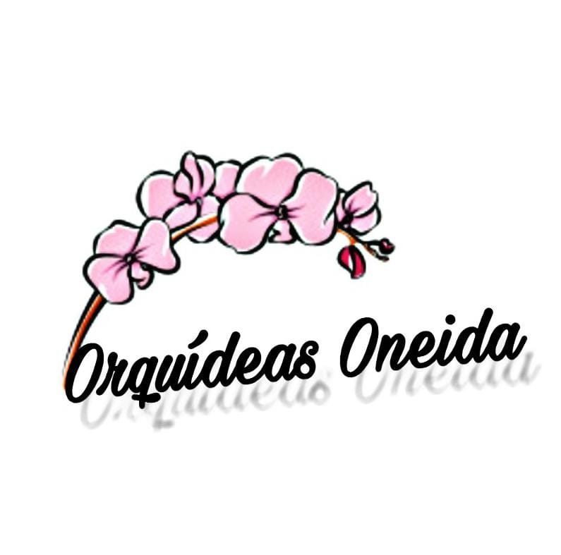Orquídeas Oneida