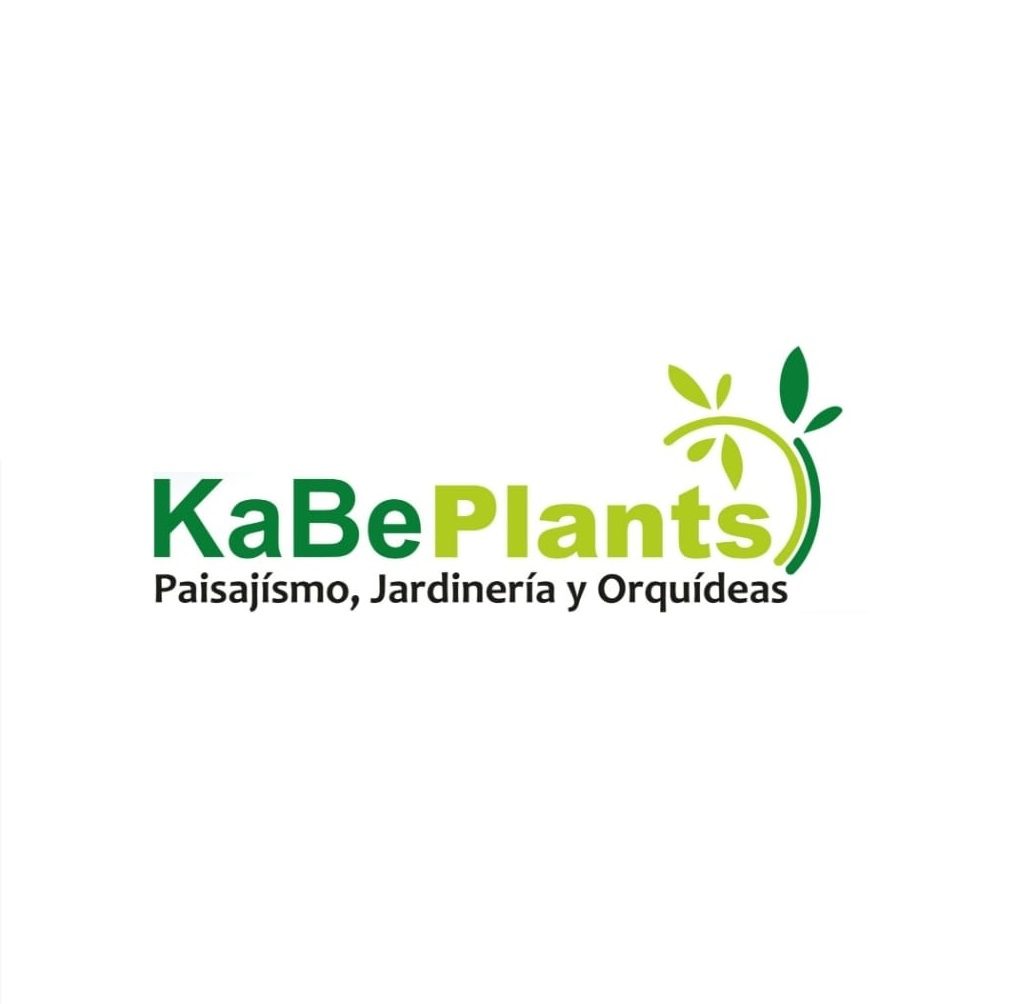 Jardinería Vivero Kabe Plants y Orquídeas