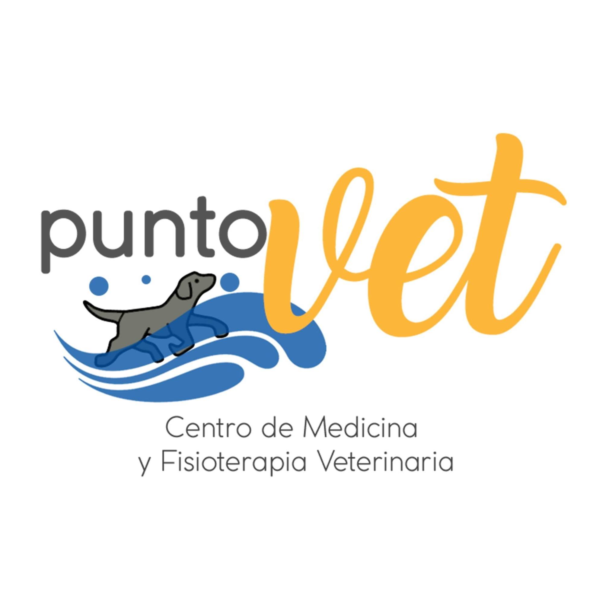 Puntovet