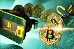 El Futuro de las Criptomonedas: Tendencias, Oportunidades y Desafíos para la Próxima Década